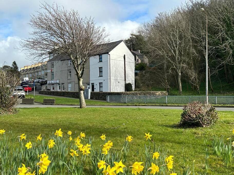Caernarfon Modern Townhouse Snowdonia Villa Exteriör bild